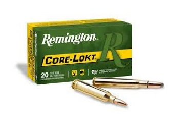 6mm Remington 100 Grain for sale